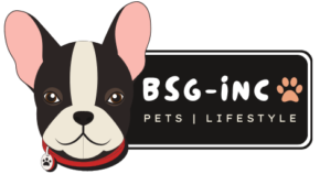 BSG-INC