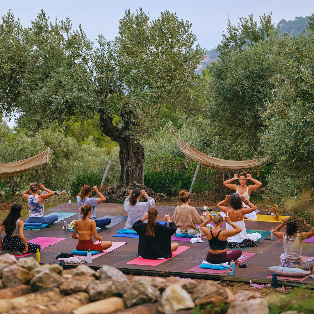 Daily Wellness Practices That Actually Stick: Building Habits for Long ...